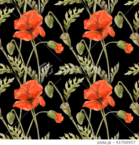 Red Poppy field seamless pattern by watercolor Red Poppy field seamless pattern by watercolor 43700957