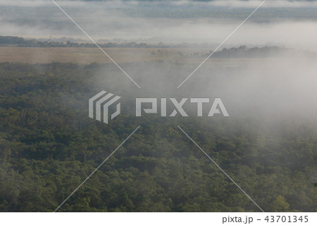 雲海の釧路湿原 43701345