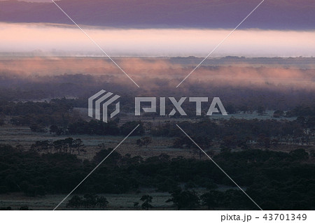 雲海の釧路湿原 43701349