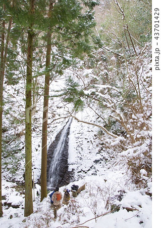 笠形山の扁妙の滝の氷瀑(兵庫県) 笠形山の扁妙の滝の氷瀑(兵庫県) 43701429