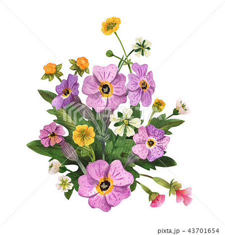 Scottish wild plants boutonniere 43701654