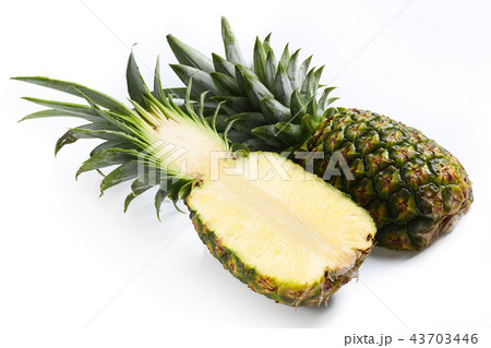 パイナップル パイナップル 43703446