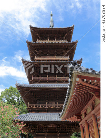 平成の大修復後の本山寺五重塔(四国霊場第70番札所) 平成の大修復後の本山寺五重塔(四国霊場第70番札所) 43703834