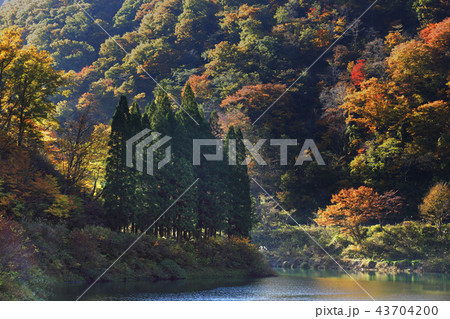 岐阜 神岳ダム湖 43704200