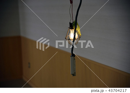内装工事中に使用する仮照明と電源 43704217
