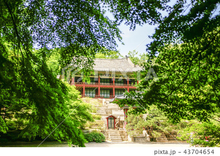 韓国 昌徳宮 ガーデン 43704654