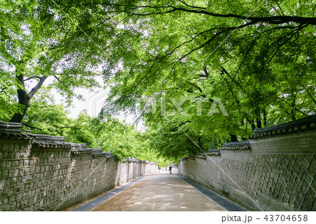 ソウル 韓国 屋外 43704658