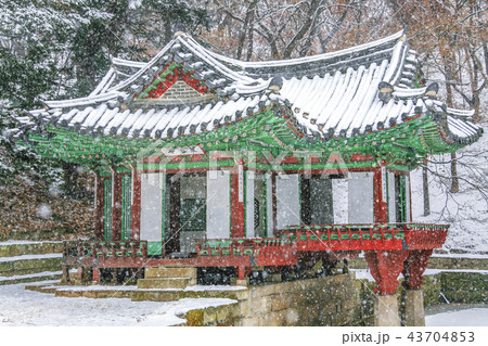 ソウル 韓国 屋外 43704853