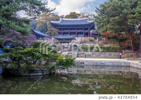 ソウル 韓国 屋外 43704954