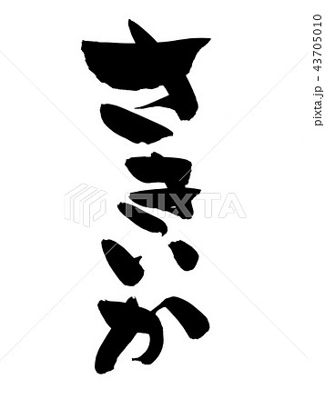 筆文字　さきいか　食べ物　イラスト 43705010