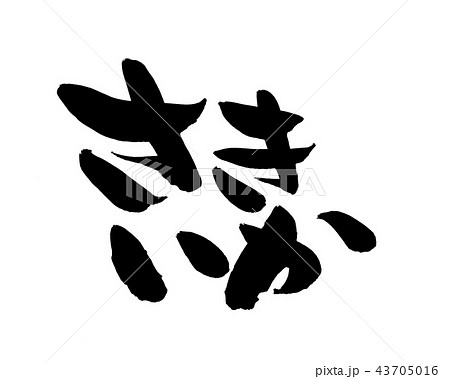 筆文字　さきいか　食べ物　イラスト 43705016