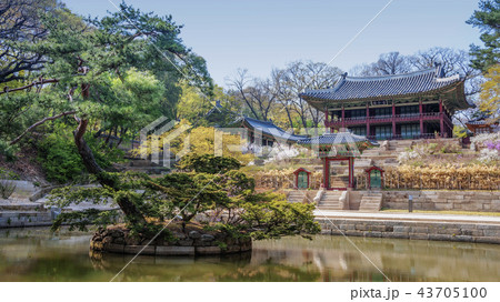 ソウル 韓国 屋外 43705100