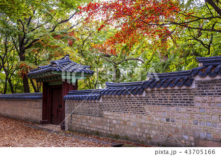 ソウル 韓国 屋外 43705166