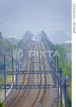 忠清北道 屋外 室外 43705334