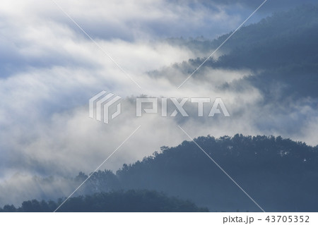 忠清北道 屋外 室外 43705352