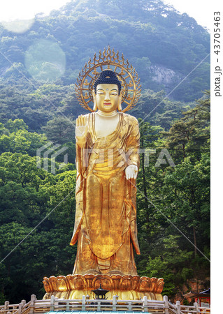 俗離山 法住寺 仏教 43705463