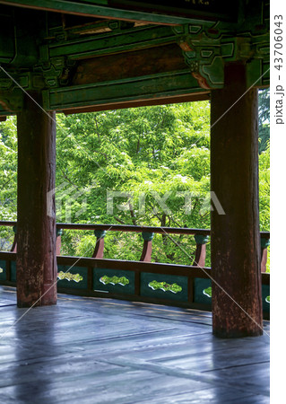 江原道 韓国 屋外 43706043
