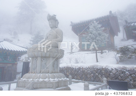 雪景色 寺院 江原道 43706832