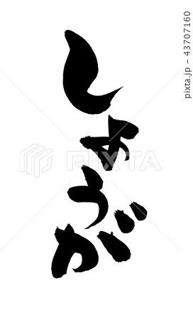 筆文字　しょうが　食べ物　イラスト 43707160