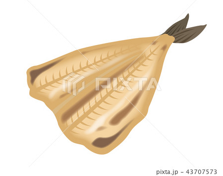 ホッケの開きのイラスト素材