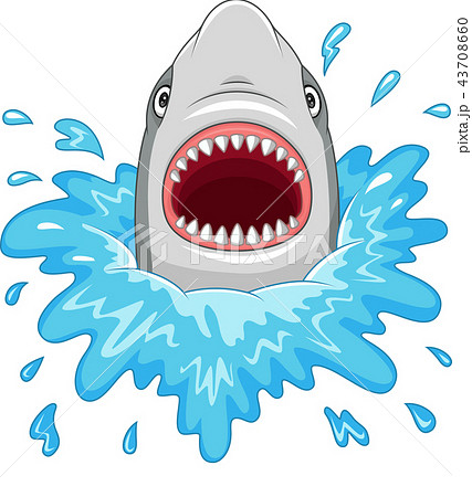 Cartoon Shark With Open Jaws Isolated On A White Bのイラスト素材 43708660 Pixta