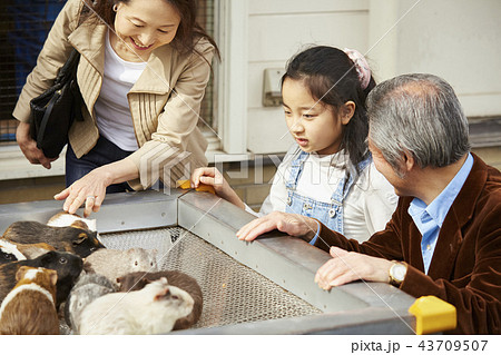 遊園地で遊ぶ家族 43709507