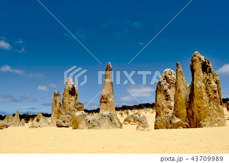 オーストラリア　ピナクルズ 43709989