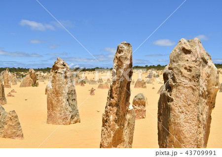 オーストラリア　ピナクルズ 43709991