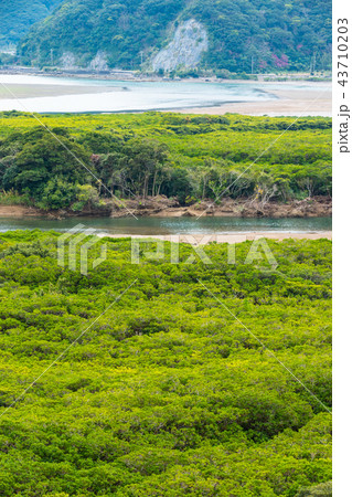 奄美大島マングローブ国立公園特別保護地区 奄美大島マングローブ国立公園特別保護地区 43710203