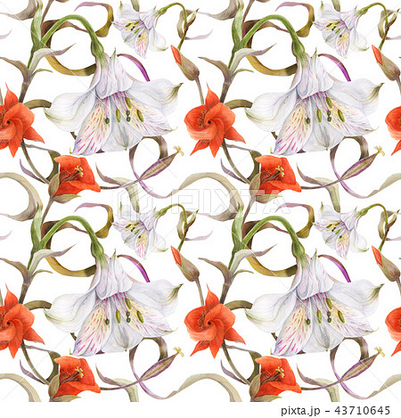 Watercolor Pattern By Alstroemeria Calochortusのイラスト素材