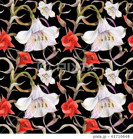 Watercolor pattern by alstroemeria calochortus 43710648