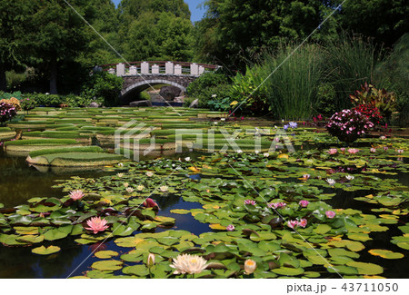 みずの森 みずの森 43711050