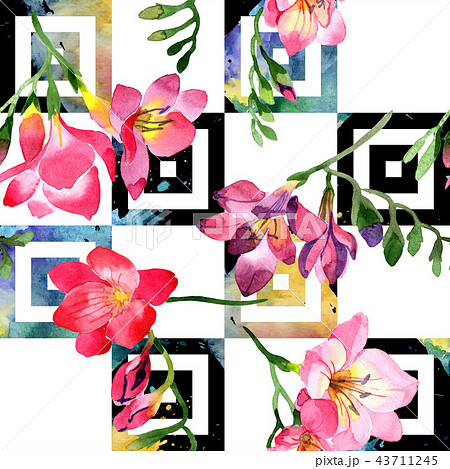 Watercolor pink freesia flower. Floral botanical flower. Seamless background pattern. Watercolor pink freesia flower. Floral botanical flower. Seamless background pattern. 43711245
