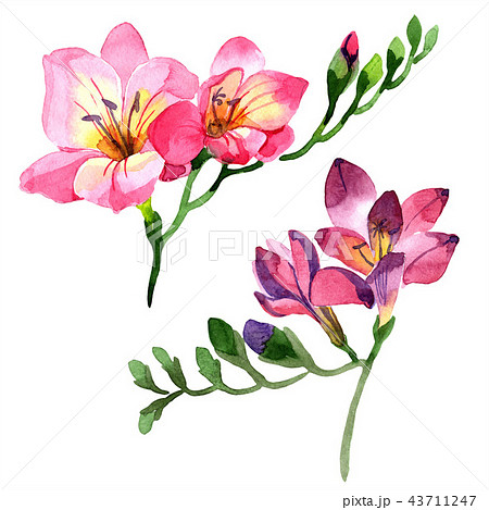 Freesia tattoo located on the inner arm