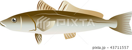 キス キス 43711557