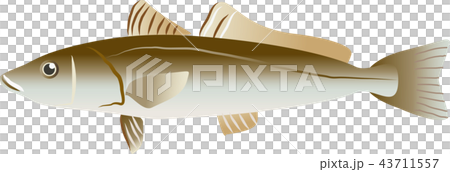 キス キス 43711557