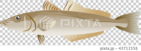 キス キス 43711558