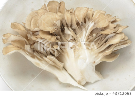 ﾏｲﾀｹの写真素材 [43712063] PIXTA