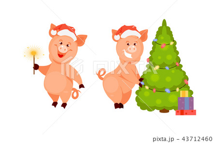 Two New Year pigs 43712460