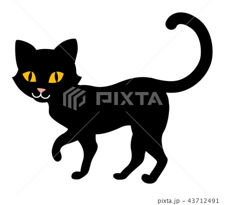 歩く黒猫 ハロウィン素材のイラスト素材 43712491 Pixta