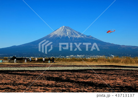 世界遺産 富士山 桜エビ 秋 春 世界遺産 富士山 桜エビ 秋 春 43713137
