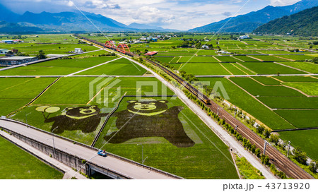 台湾 花蓮 鉄路 43713920