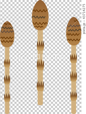 つくし つくし 43714275