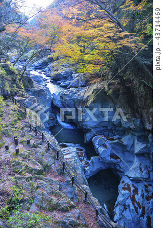 土釜の紅葉 43714469
