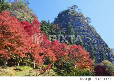 紅葉の古岩屋 43714471