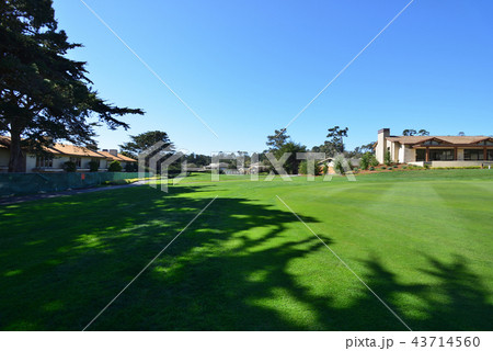 アメリカ　ペブルビーチ 43714560