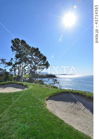 アメリカ　ペブルビーチ 43714565