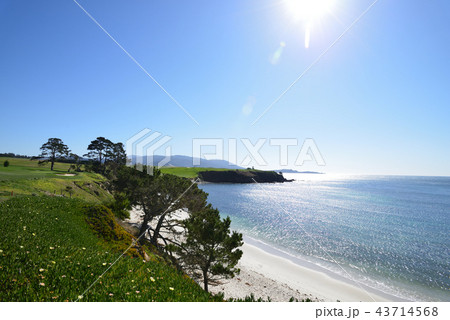 アメリカ　ペブルビーチ 43714568