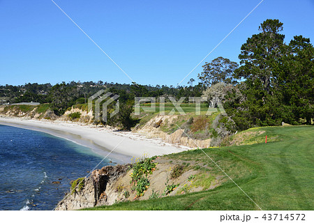 アメリカ　ペブルビーチ 43714572