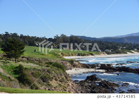 アメリカ　ペブルビーチ 43714585